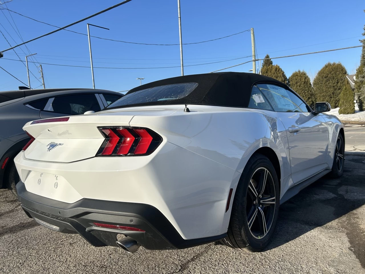 2025 Ford Mustang EcoBoost Main Image