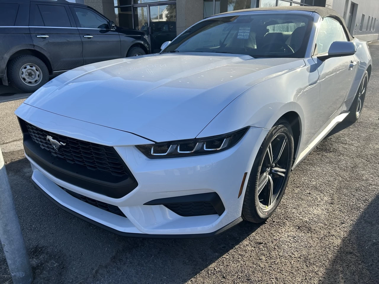 2025 Ford Mustang EcoBoost Main Image