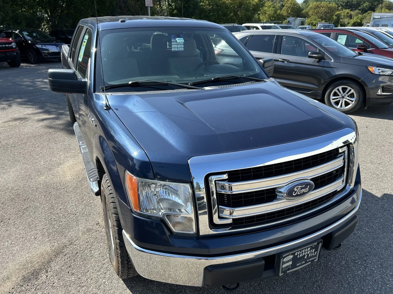 2013 Ford F-150 XLT Main Image