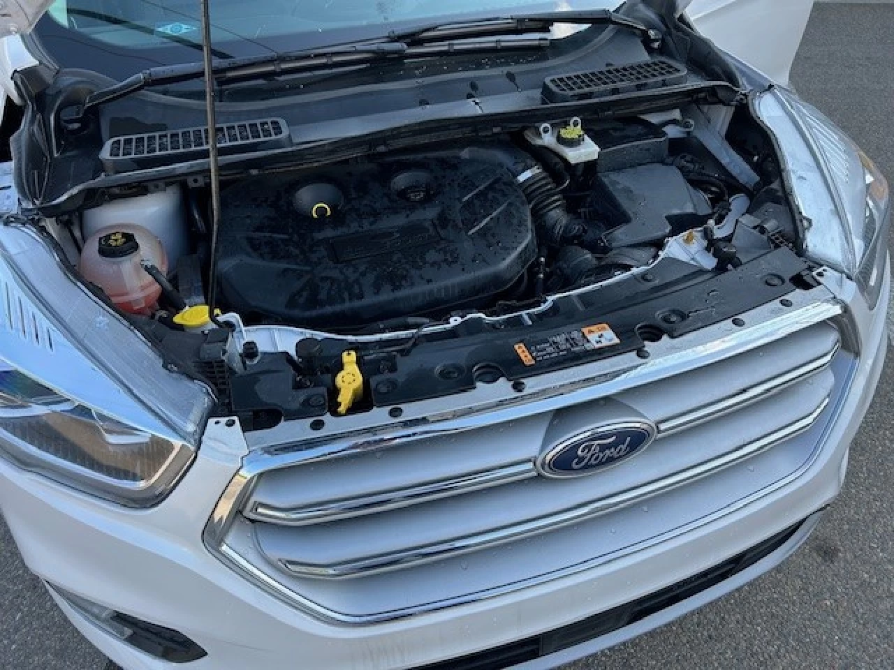 2018 Ford Escape Titanium AWD Image principale