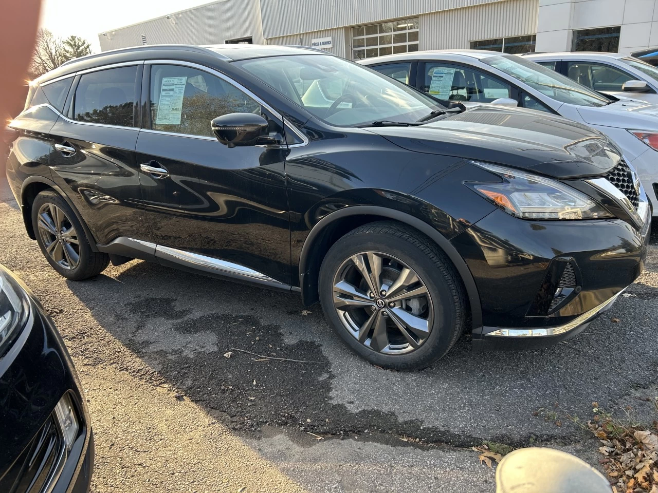 2019 Nissan Murano Platinum https://www.st-norbertford.com/resize/b990ff35b810a3abc0cc817b2ca24889-1