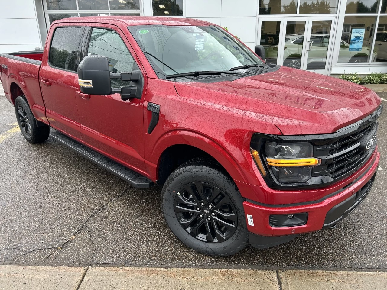 2024 Ford F-150 XLT Main Image