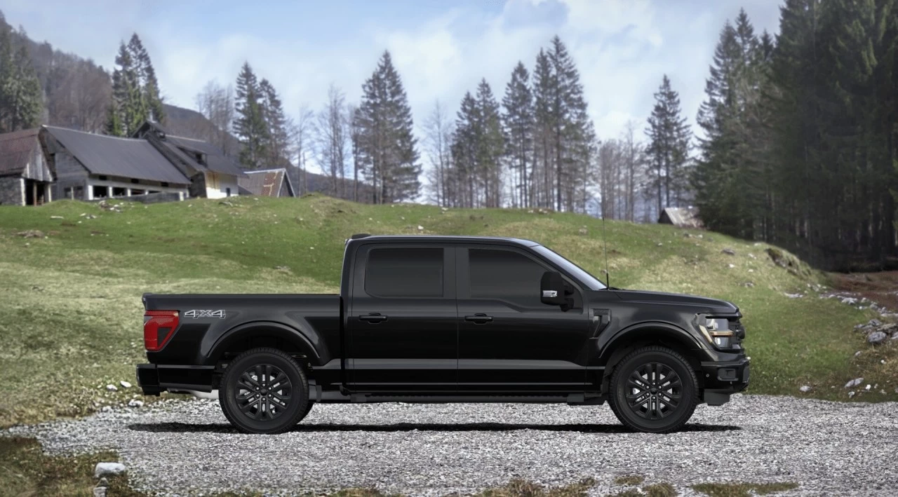 2024 Ford F-150 XLT Main Image