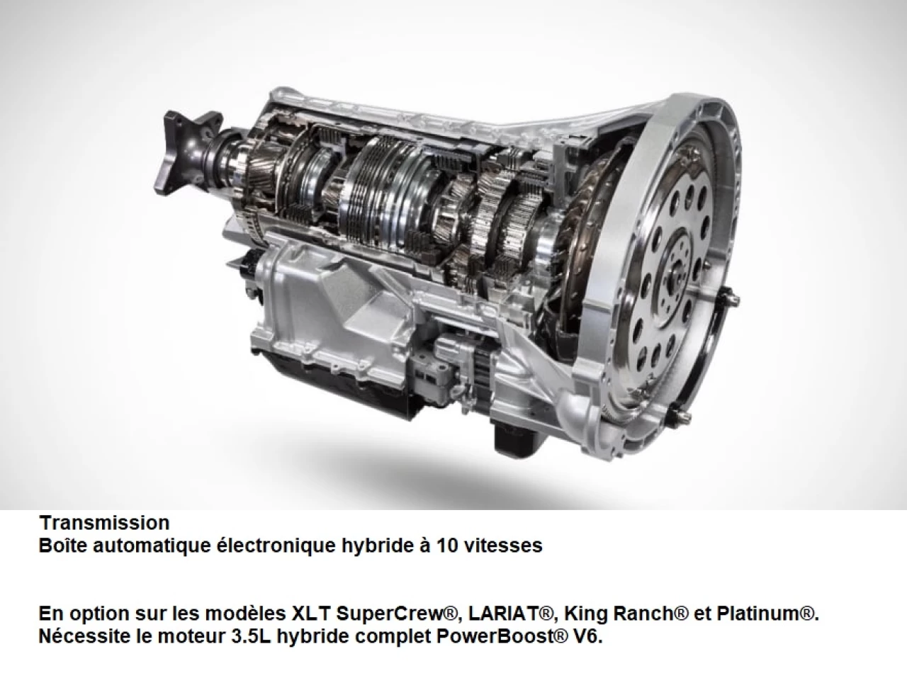 2025 Ford F-150 XLT Main Image