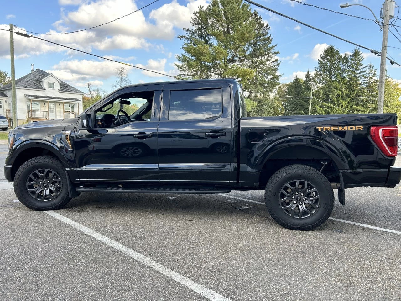 2022 Ford F-150 Tremor Main Image