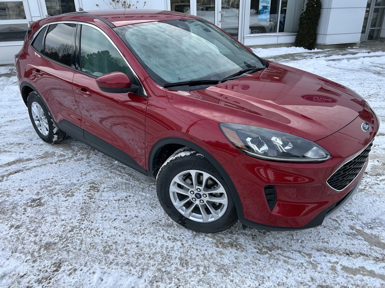 2020 Ford Escape SE Main Image