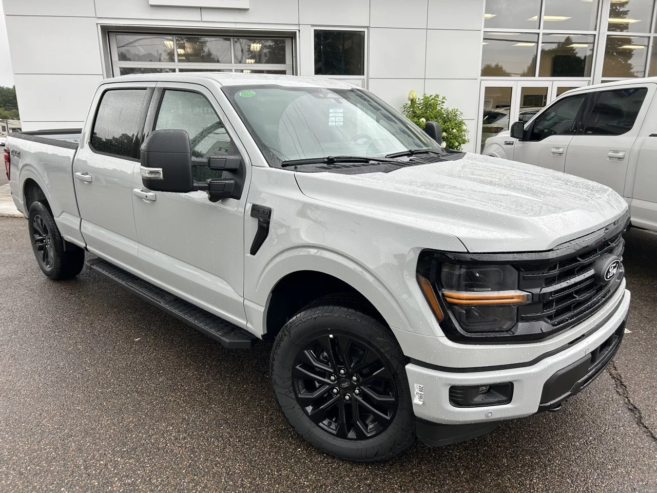 2024 Ford F-150 XLT Sport Main Image