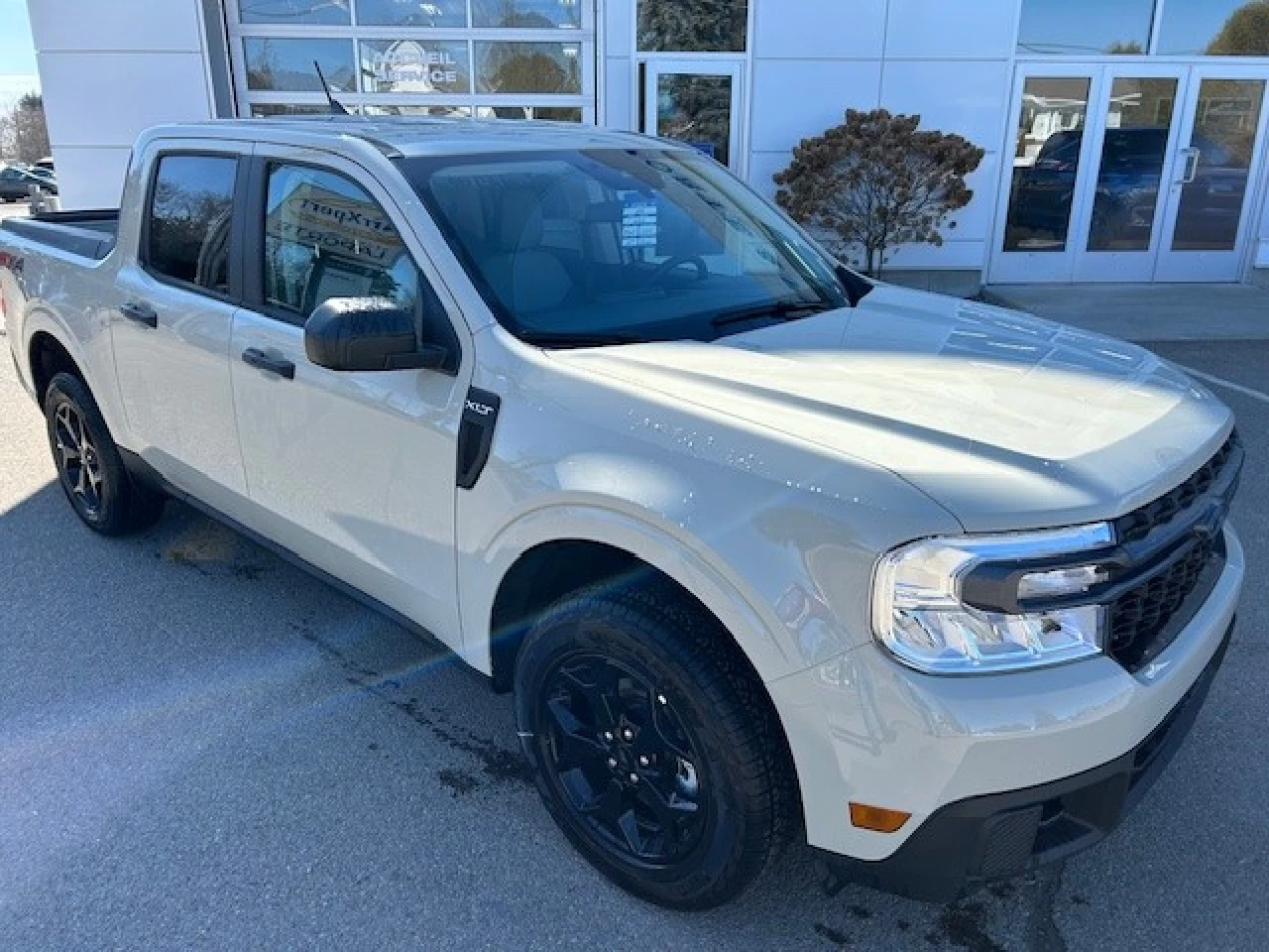 2024 Ford Maverick XLT Main Image