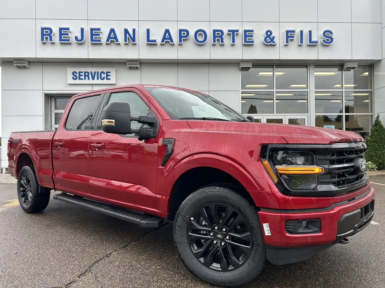 2024 Ford F-150 XLT Main Image