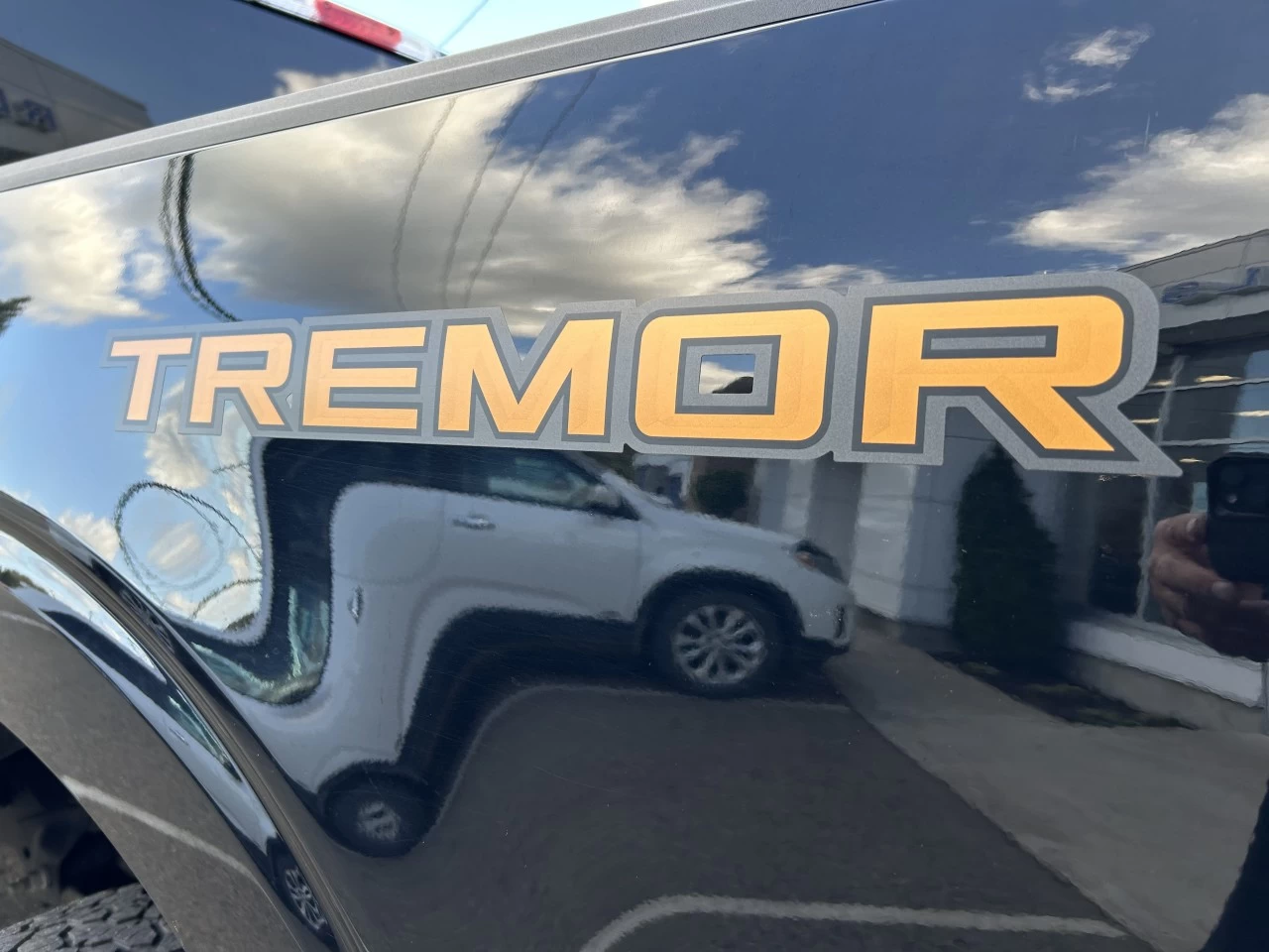 2022 Ford F-150 Tremor Image principale