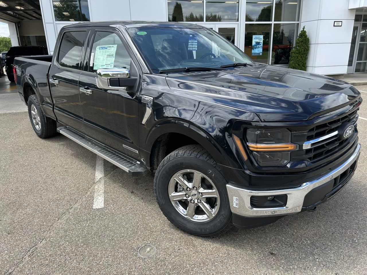 2024 Ford F-150 XLT Main Image