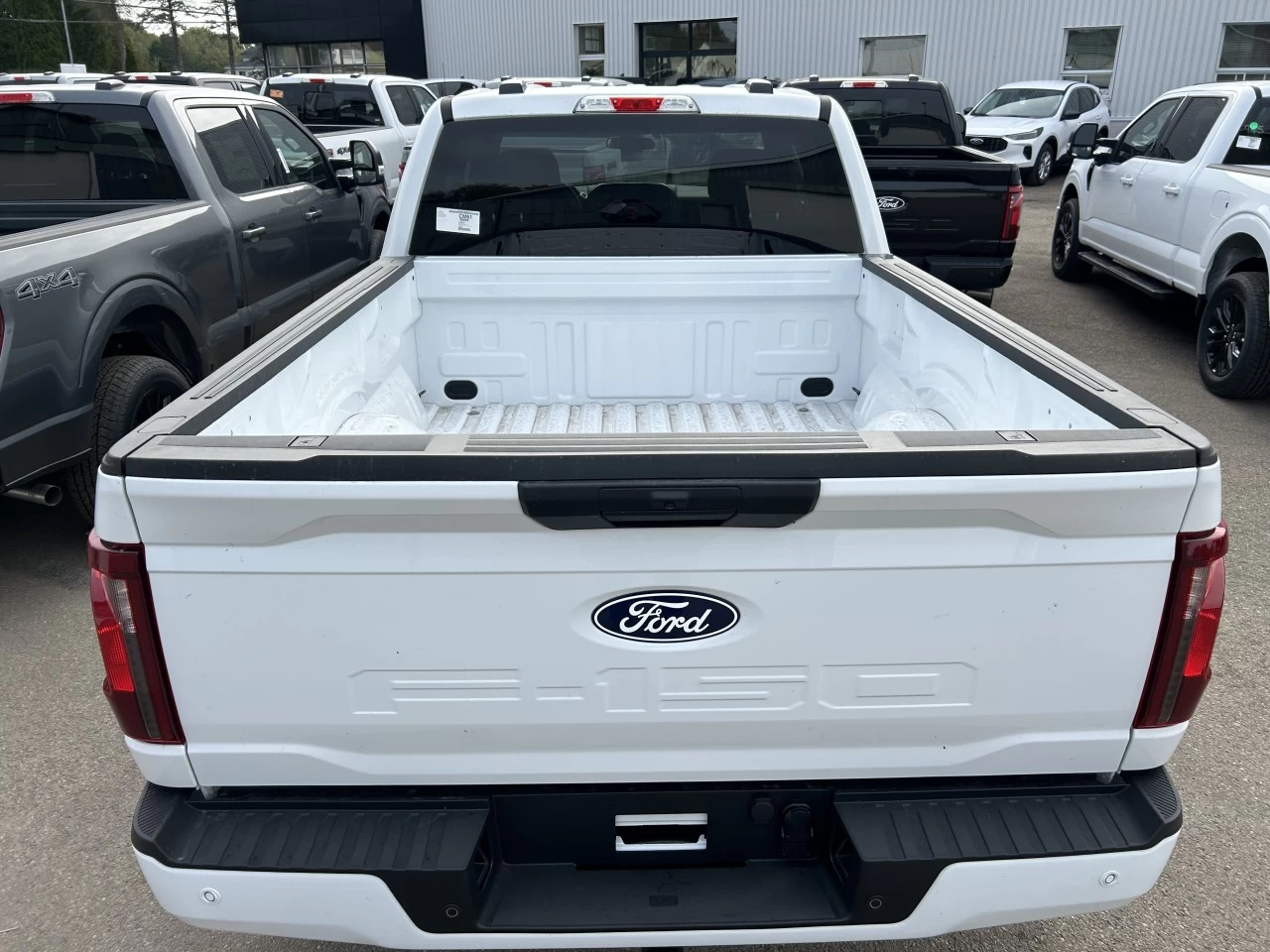 2024 Ford F-150 STX 4x4 Main Image