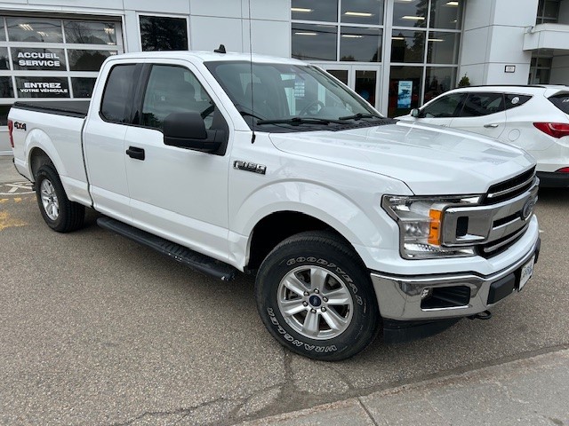 Ford 2019 F-150 XLT