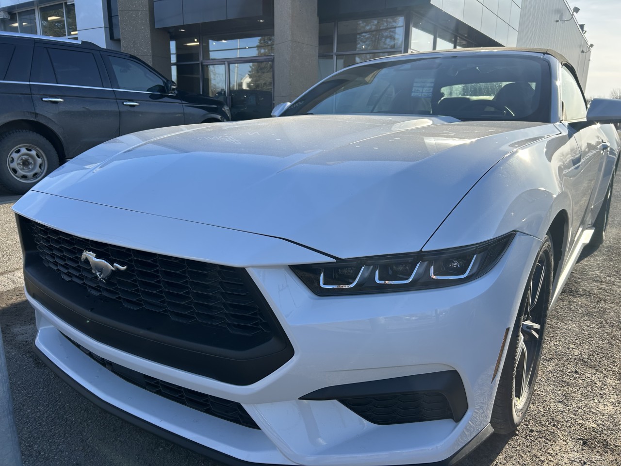 Ford 2025 Mustang EcoBoost